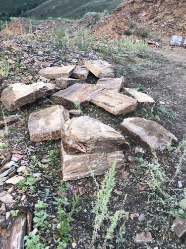 Плитняк кора дерева 50-100мм для пошаговых дорожек купить в Ялте